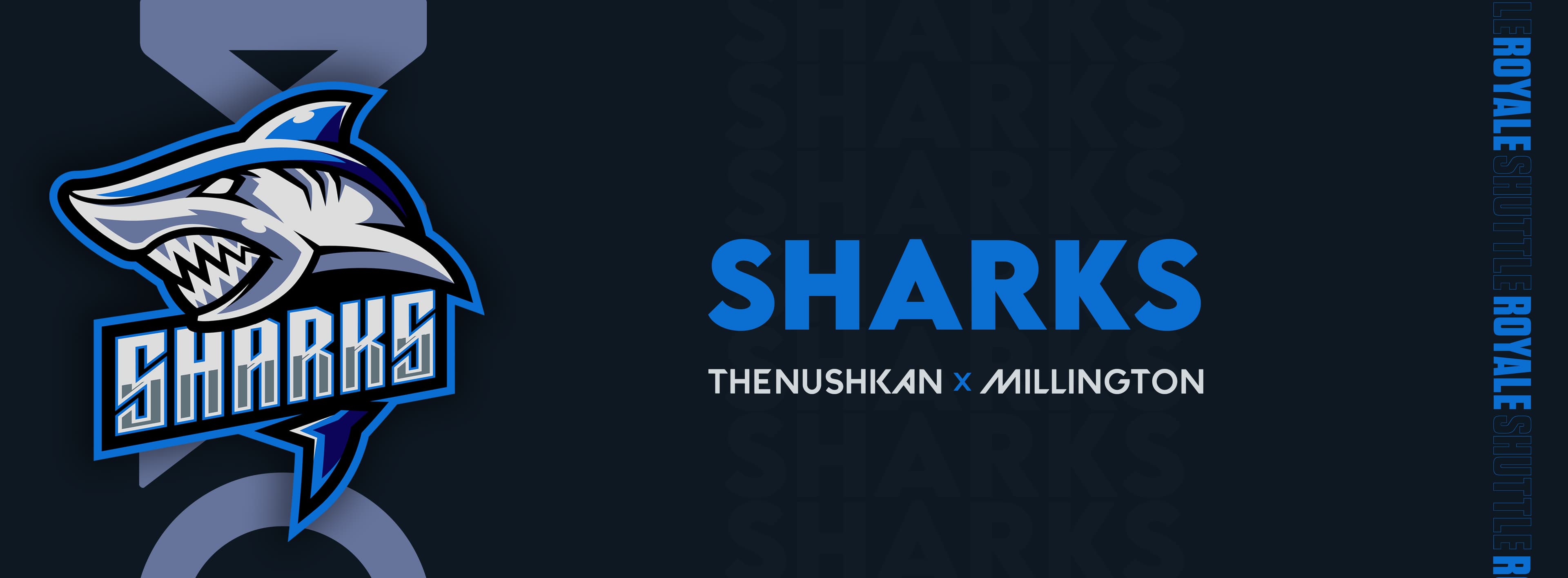 Team Banner
